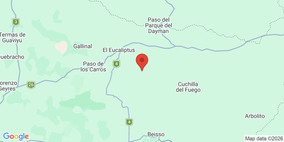 Ubicación geográfica del estudio: -32.0066670, -57.1350408