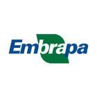 EMPRESA BRASILEIRA DE <br>PESQUISA  AGROPECUÁRIA - EMBRAPA - BRASIL