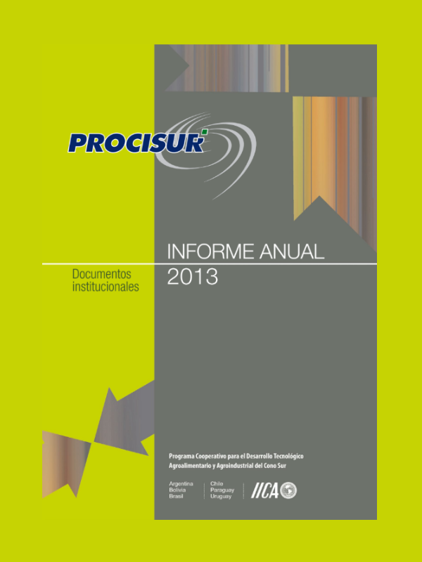 Informe Anual 2013