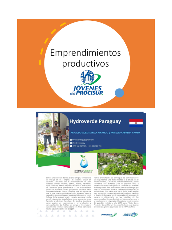 Emprendimientos productivos jóvenes del PROCISUR