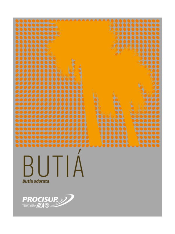 Catálogo de nativas. Butiá, Butia odorata