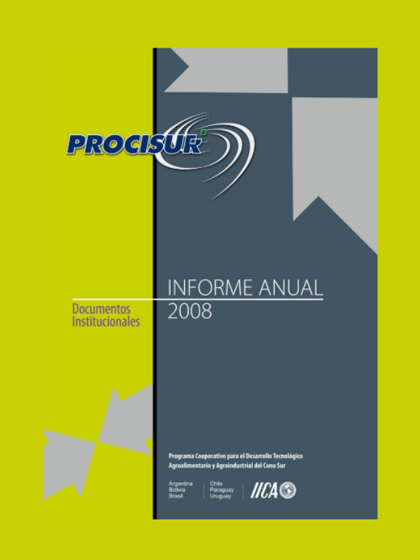 Informe Anual 2008