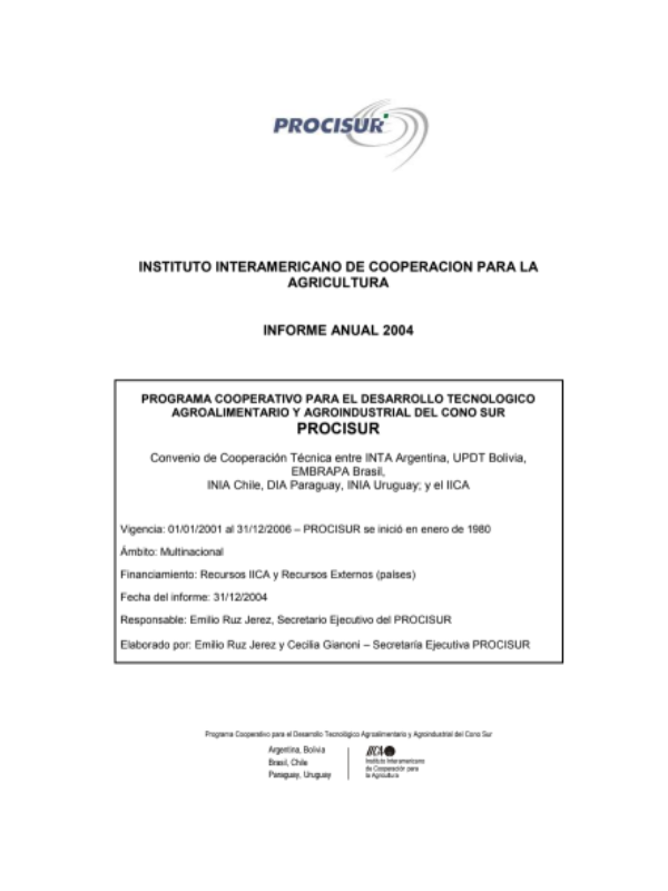 Informe Anual 2004
