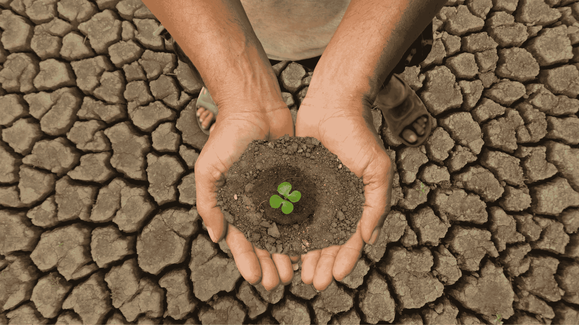 Cambio Climático y Pobreza Rural – Incorporación del Cambio Climático a las Estrategias de Desarrollo Rural: Plan para el Estudio de Impacto Ambiental del Calentamiento Global en América Latina