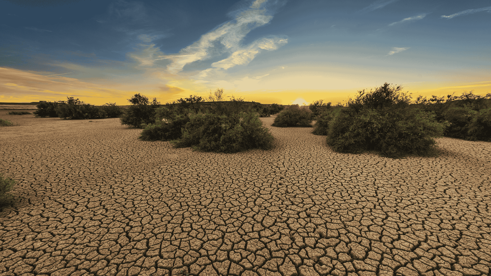 Evaluación de los cambios en la productividad del agua frente a diferentes escenarios climáticos en distintas regiones del Cono Sur