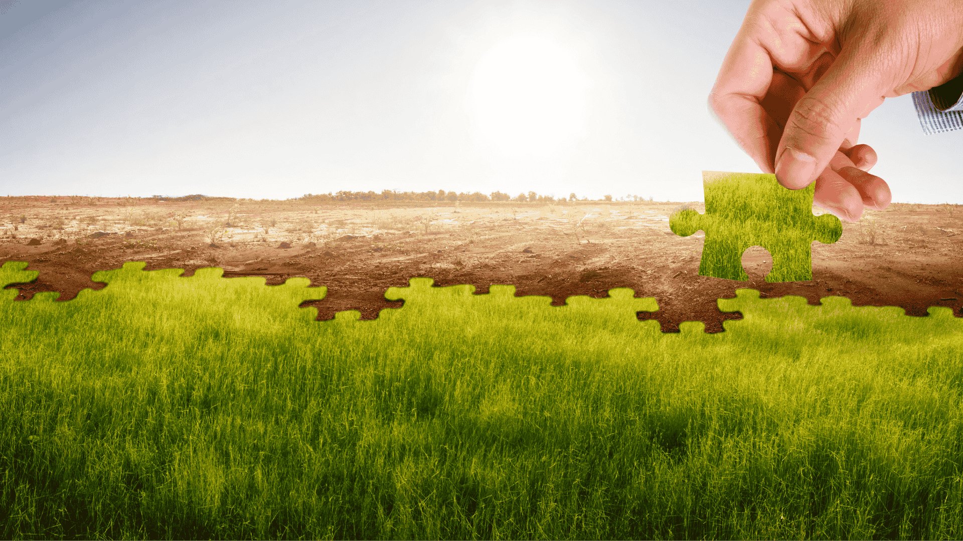 Proyecto Cooperativo : Variabilidad y cambio climático en la expansión de la frontera agrícola en el Cono Sur. Estrategias tecnológicas para reducir vulnerabilidades