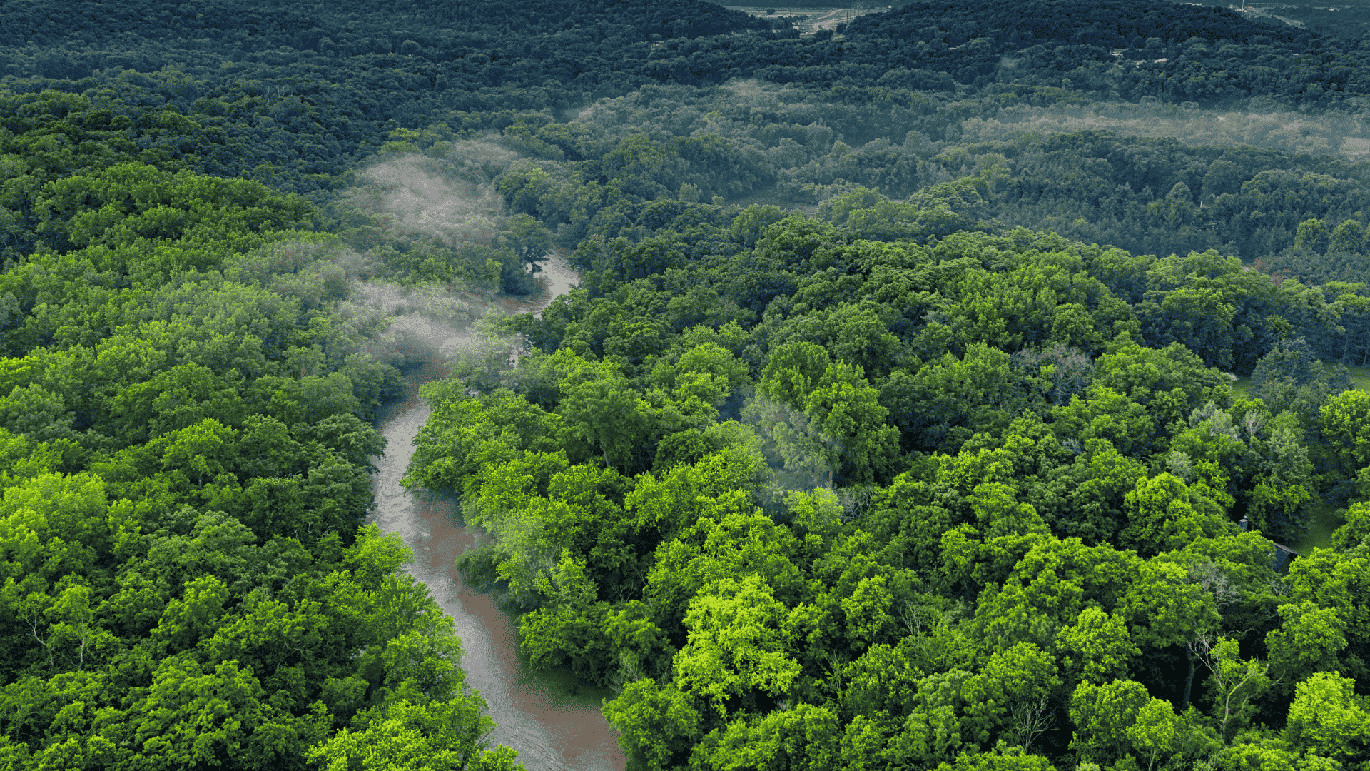 Proyecto: Manejo y restauración de bosques en entornos productivos. Vivir y producir en el bosque chaqueño