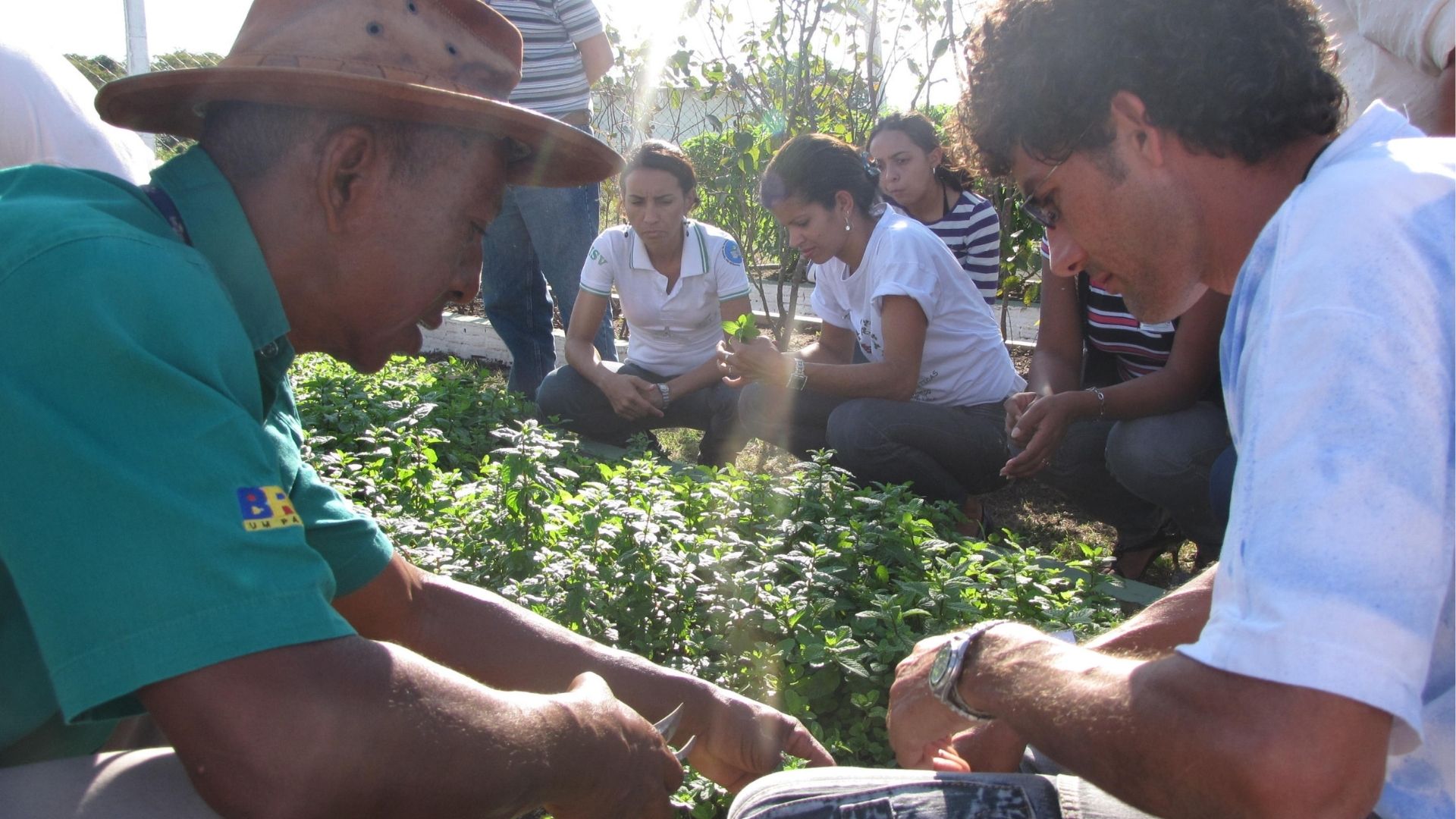 TICS para la Agricultura Familiar. Escalamiento del proyecto EMBRAPA "SEMEAR digital"