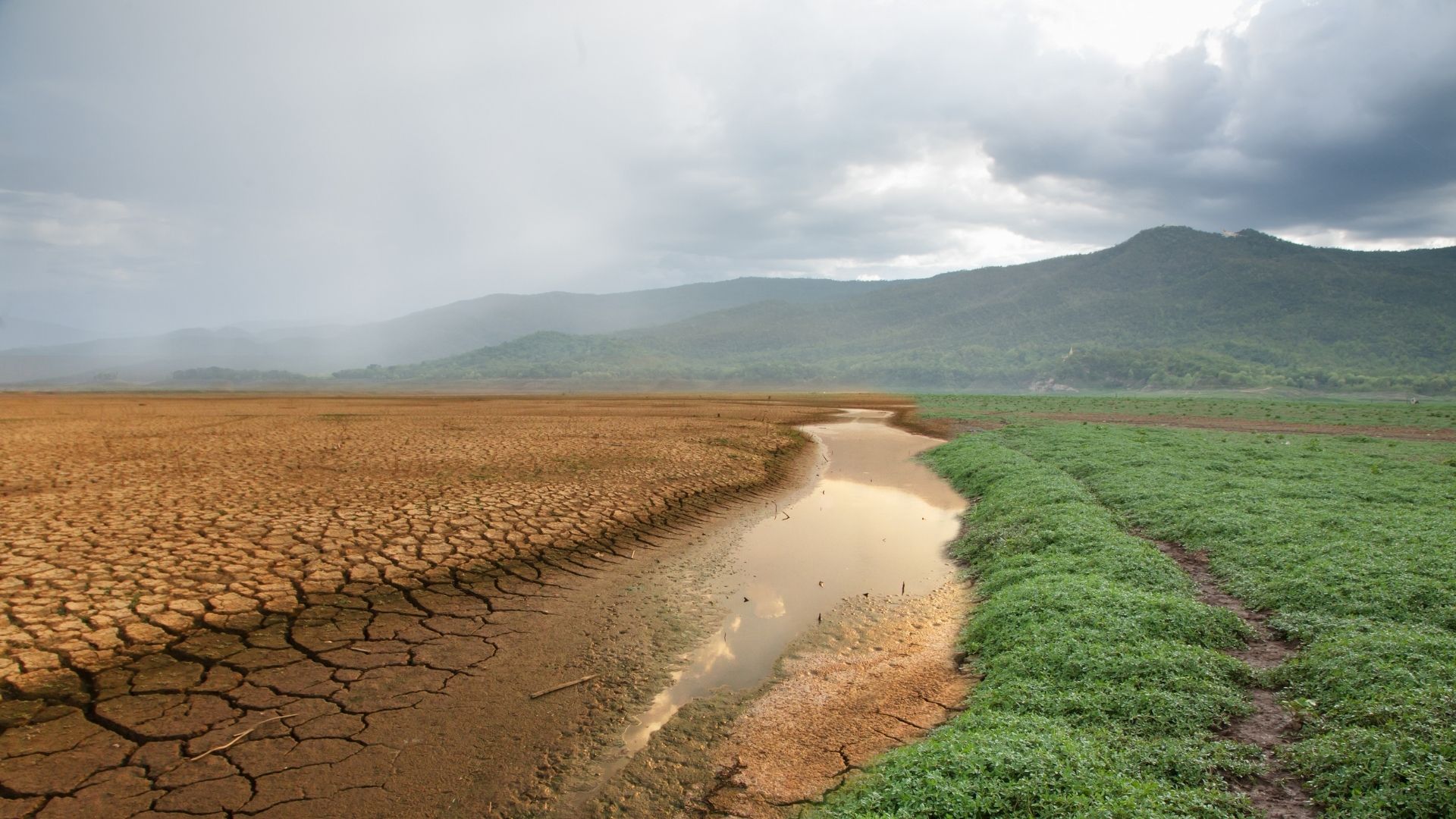 Informes de Perspectivas Climáticas