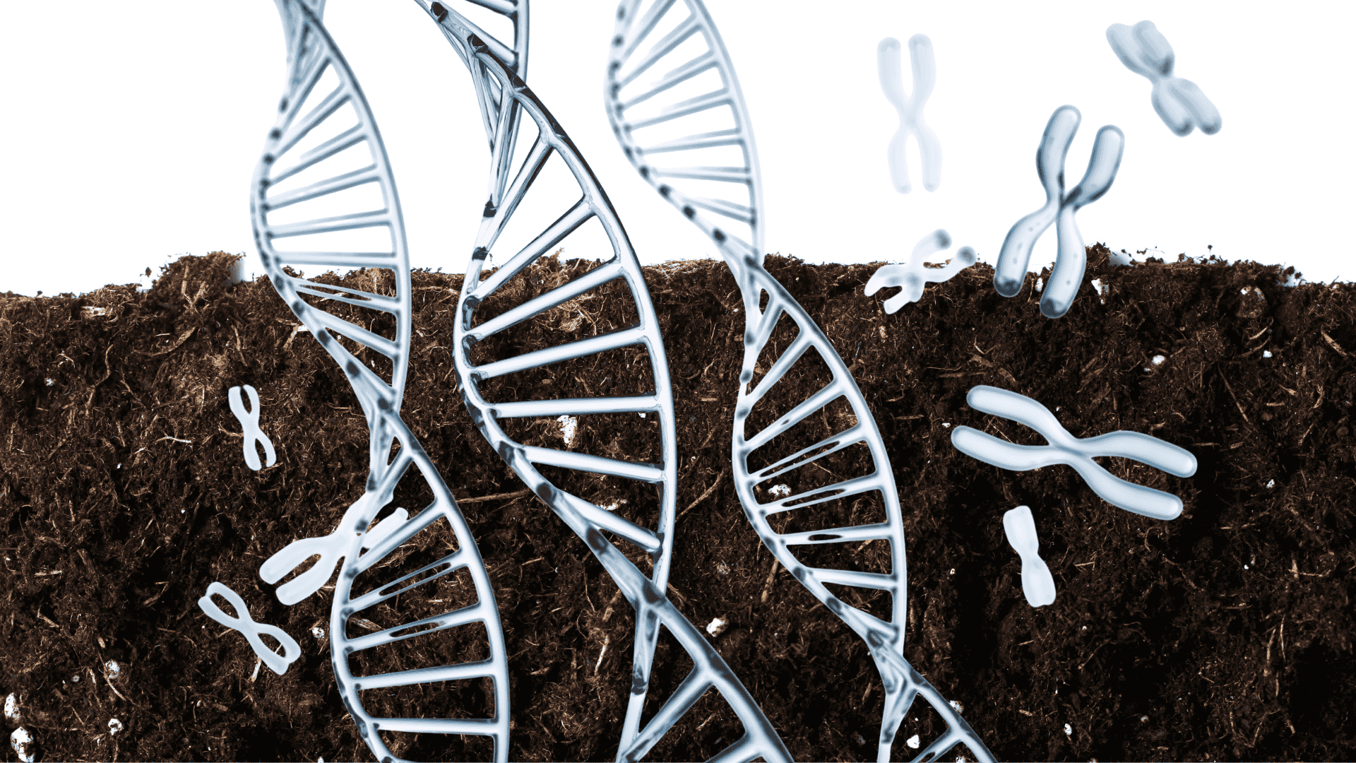 Red de bioprospección y biología sintética para la agricultura sustentable en el Cono Sur "BioAgroSur"