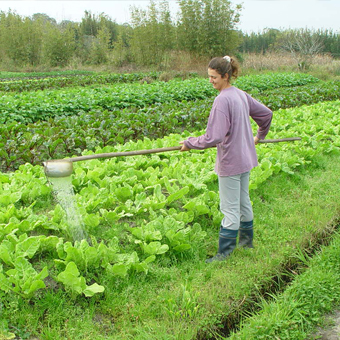 Agricultura