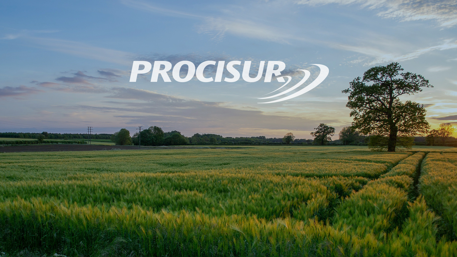 Proyecto "Genoma de la papa"