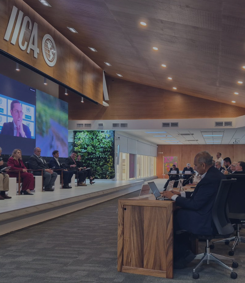 Desarrollo Institucional