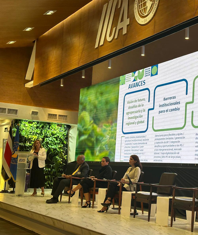 Institucional