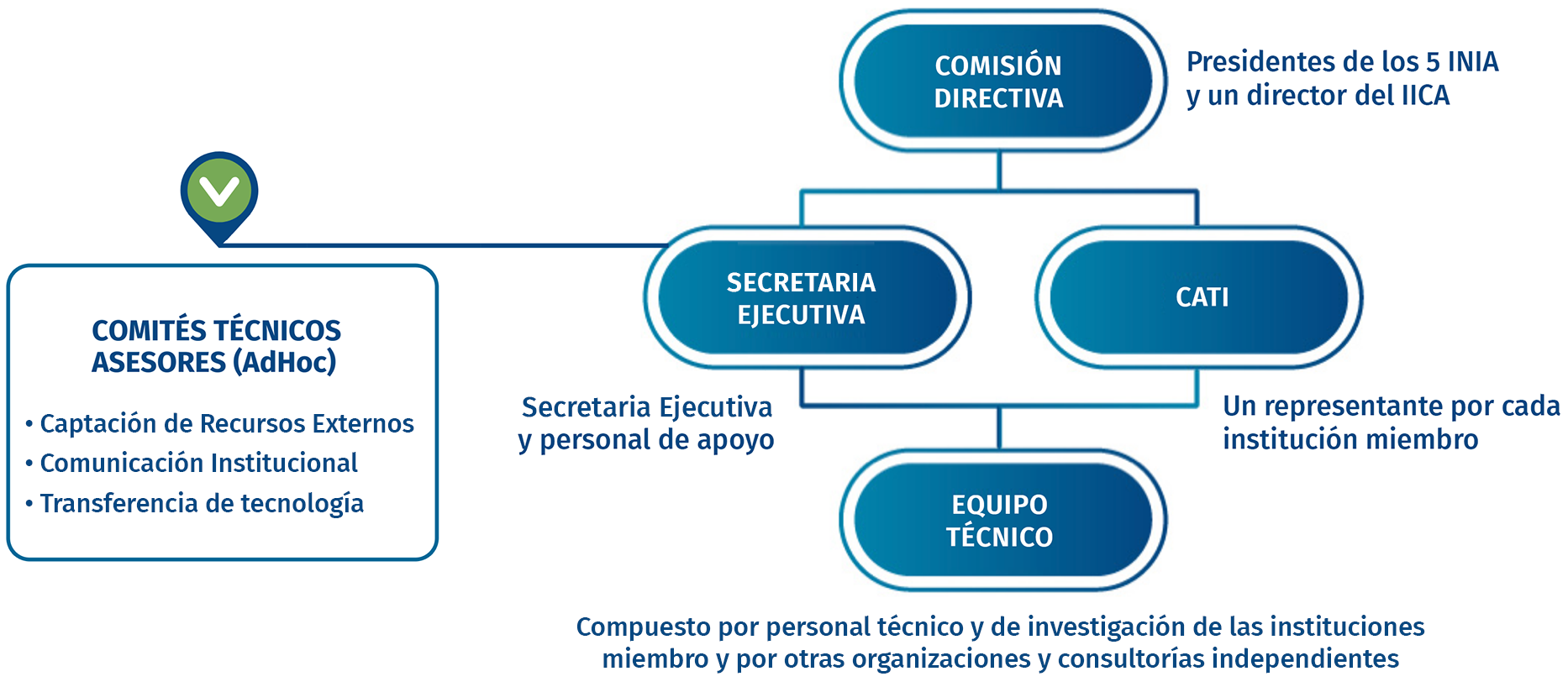 Organigrama PROCISUR