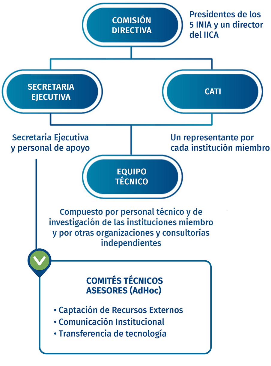 Organigrama PROCISUR
